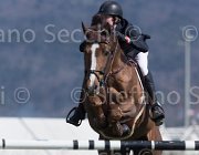 Clayton Mr Darcy TosTour2013- S5 2742 : Arezzo, Arezzo Equestrian Centre, Clayton Joseph, Mr Darcy, Toscana Tour 2013, foto di Stefano Secchi ©